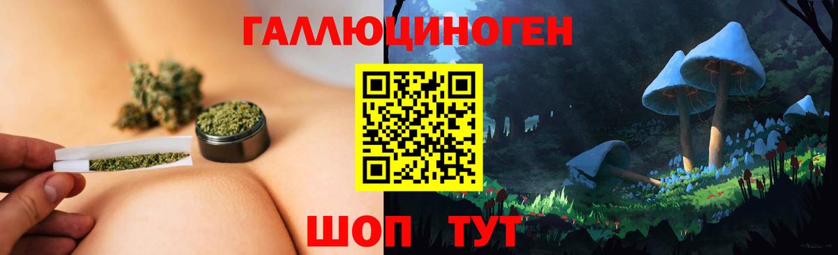 Галлюциногенные грибы Psilocybine cubensis  Вход с VPN  магазин    Владивосток 